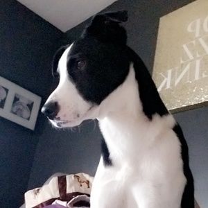 Meet your Posher, Mariah